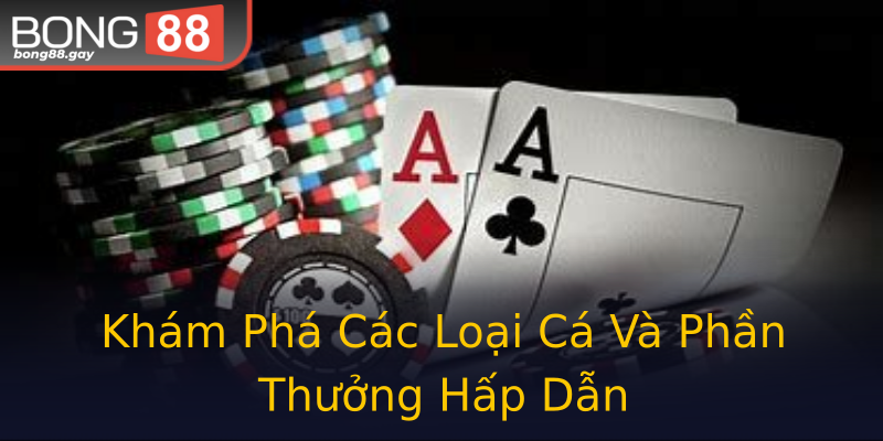 Khám Phá Các Loại Cá Và Phần Thưởng Hấp Dẫn