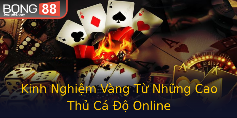 Kinh Nghiệm Vàng Từ Những Cao Thủ Cá Độ Online