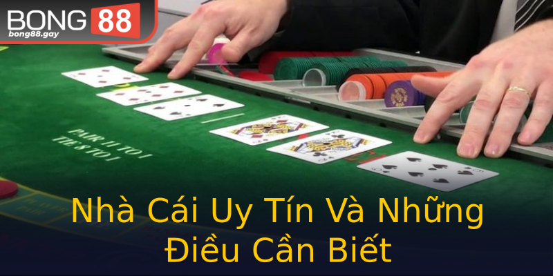 Nhà Cái Uy Tín Và Những Điều Cần Biết