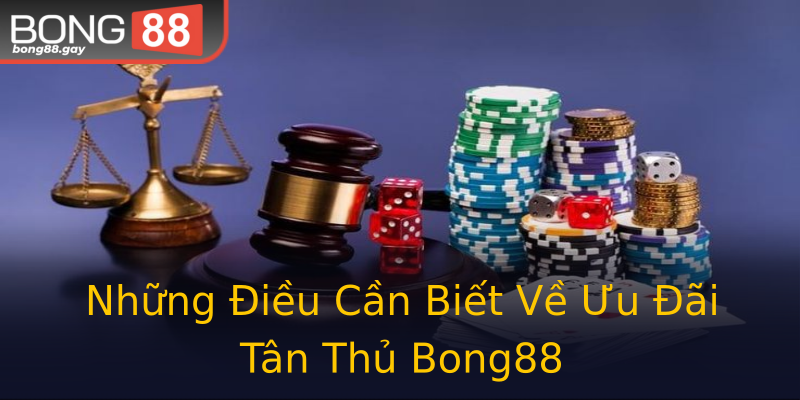 Những Điều Cần Biết Về Ưu Đãi Tân Thủ Bong88